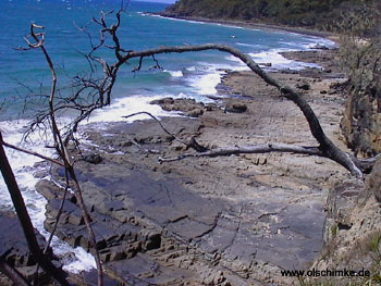 Noosa Nationalpark 1