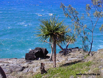 Noosa Nationalpark 3