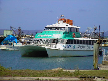 Whale Watching Katamaran