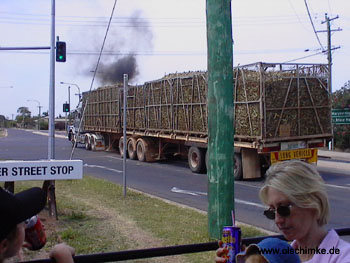 Zuckerrohr Truck