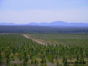 Auf dem Weg nach Cooloola NP