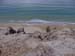 Carlo Sand Blow 3