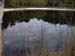Lake Poona 2