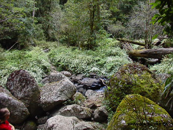 Ueber Stock und Stein